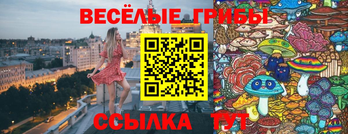 Курчалой  Псилоцибиновые грибы ЛСД  Вход с VPN 