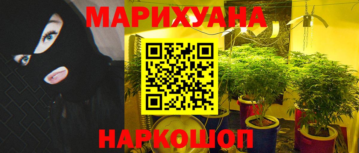 Курчалой  Марихуана тримм  Канабис THC 21%  Вход с VPN  Бошки марихуана OG Kush 